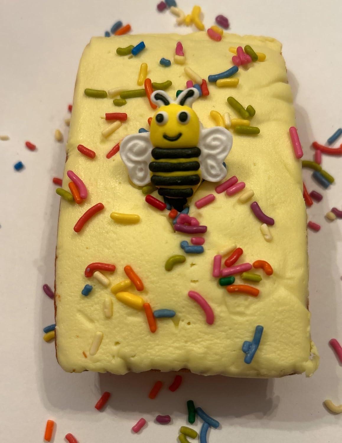 Oasis Supply, 24 Count Lady Bugs and Bumblee Bee Decorations for Desserts, Ladybugs (12) & Bees (12) Cake Cupcake Toppers Assortment