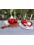 Oasis Supply Red Candy Apple Coating Mix, Cherry Flavor, Just Add Water, 12 Oz - Makes 15 Apples
