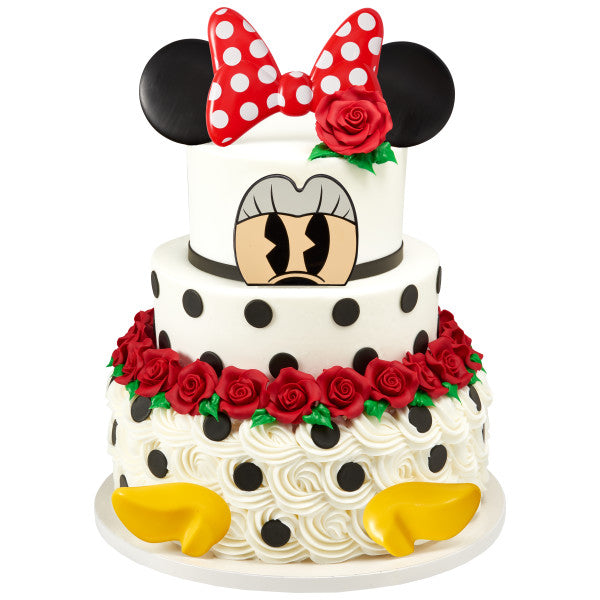 Minnie Mouse Creations Cake Kits