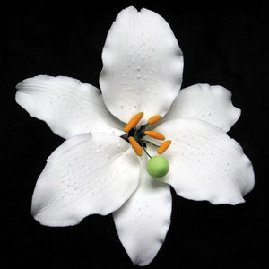 single white lily flower Casablanca Lily Medium White Single 32 pcs