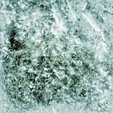 Edible Glitter - 4 oz Jar