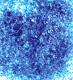 Edible Glitter - 4 oz Jar