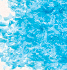 Edible Glitter - 4 oz Jar