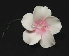 Fruit Blossom Single - Large Pink 18 pieces