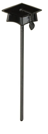 Graduation Hat Picks- 144 count