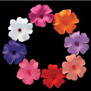 Impatiens -  Pink, White, Lav, Coral, Red, Purple, & Fuschia - 72ct