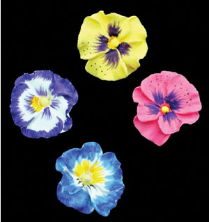 Pansy Petites - Assorted Colors Gumpaste 40 ct