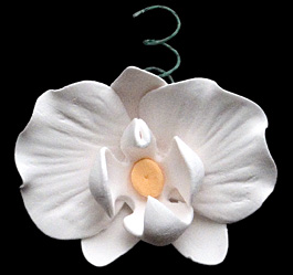 Phalaenopsis Blooms & Buds - 27 total pieces