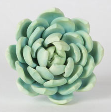 Snowball Succulent - Green 1 ct