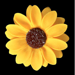 Sunflower Single - 50ct
