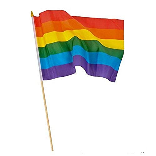 Oasis Supply Show Your Pride Rainbow Flag (1 Dozen Per Order), 12 by 18"