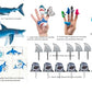 Oasis Supply's Shark Kit #5 Includes 61 Shark-themed Cake Toppers, Featuring a Variety of Characters and Toys That Will Turn Your Cake into a True Megalodon Masterpiece.