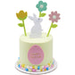 Spring Bunny Cake Kit