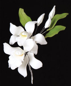 White Cymbidium Orchid Spray 2pcs