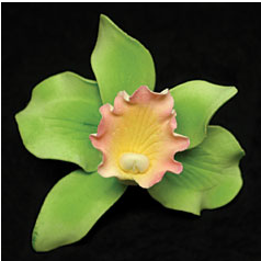 Cattleya Single - Small Green 50 pieces