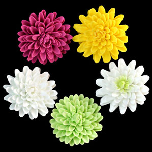 Chrysanthemum - Large - Assorted Colors - 32ct