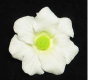 Cosmos Flower - White w/ Green Center - 36ct