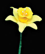 Daffodil on Wire - Medium - 36 pcs