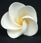 Frangipani Flower - Medium White - 36ct