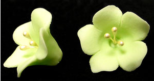 Fruit Blossom Single - Light Green 110 pieces