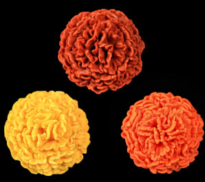 Marigold Flowers - Yellow, Orange & Rust  - 32ct