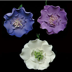 Scanbiosa Flowers- Assorted Colors 18 ct