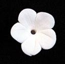 Stephanotis Flower - Medium 80 ct